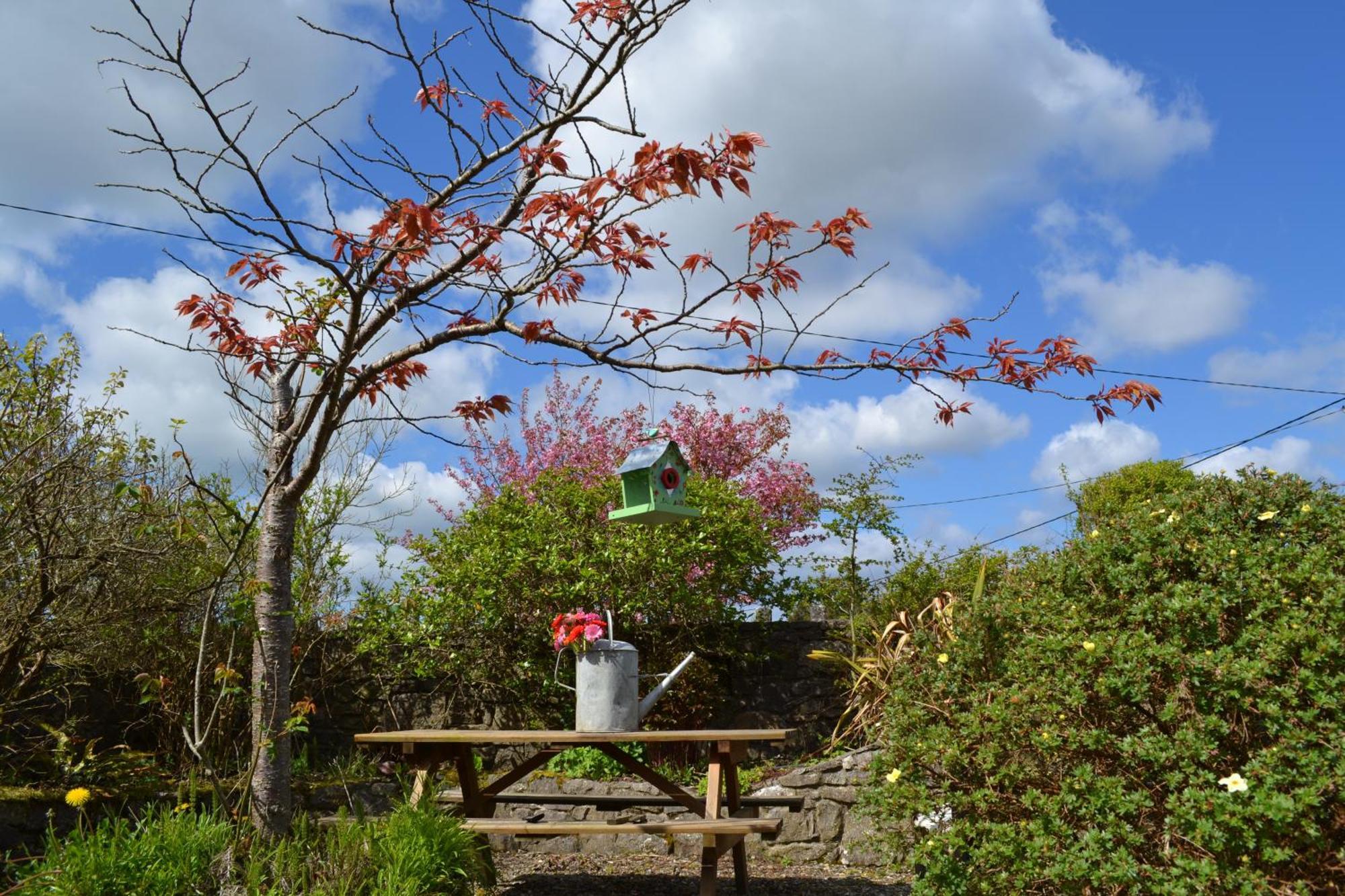 Wild Honey Inn ลิสดูนวาร์นา ภายนอก รูปภาพ